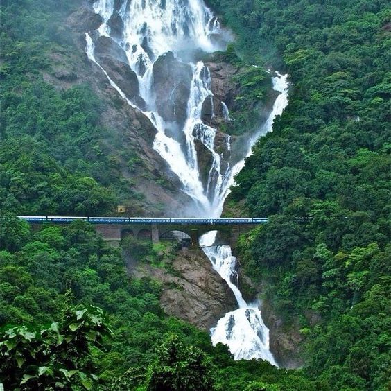 Dudhsagar-Waterfall-in-Goa